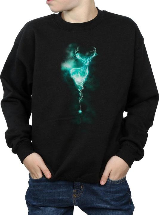 Immagine prodotto Felpa da ragazzo Patronus Mist (152, 158)