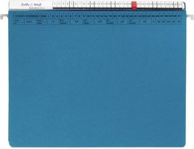 Image du produit Soldan Dossier suspendu ORGALEX 1205807 1 pli Li bleu moyen (A4, 1 x)