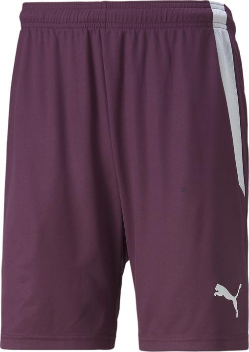 Actual product image Puma teamLIGA Shorts-704924 (S)