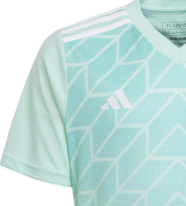 Produktbild adidas Team Icon 23 Trikot (128)