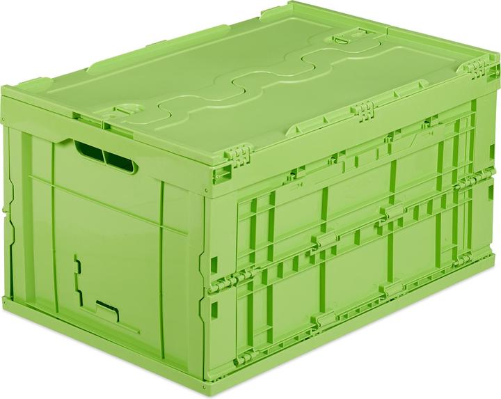 Relaxdays Box pieghevole da 60 l con coperchio (58,5 x 39,5 x 32,5 cm, 75 l)