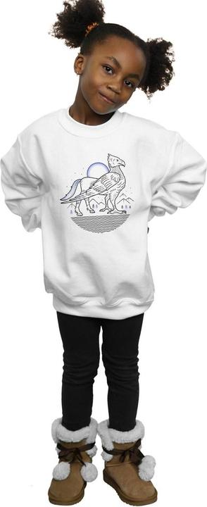 Immagine prodotto Buckbeak Line Art Felpa Ragazze (140, 146)