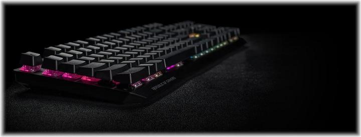 Actual product image ASUS Gaming ROG PBT