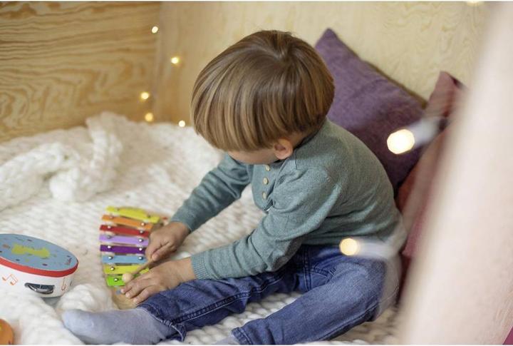 Actual product image Eichhorn Xylophone (German)