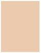 Actual product image Bourjois Bj Polvo Compacto Always Fabulous (210 Vanilla)