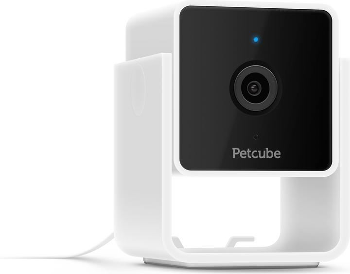 Image du produit Petcube Caméra pour animaux domestiques (Jouets avec herbe à chat)