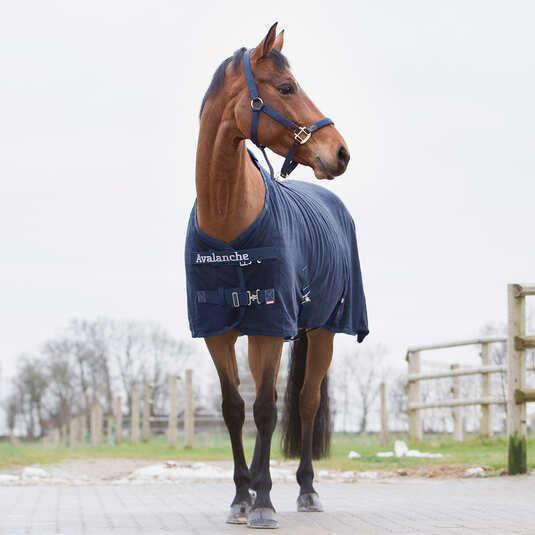 Image du produit Horze Avalanche (125 cm)