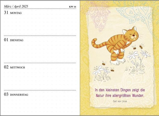 Produktbild Taschenkalender 2025: Om-Katze: Bloss kein Stress! (A6, Deutsch)
