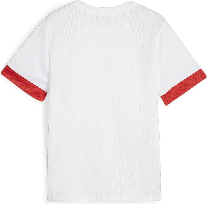 Actual product image Puma teamGOAL Matchday Jersey jr (116)