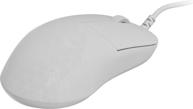 Endgame Gear XM2 8k Gaming Maus, kabelgebunden - White Frost (Kabelgebunden)