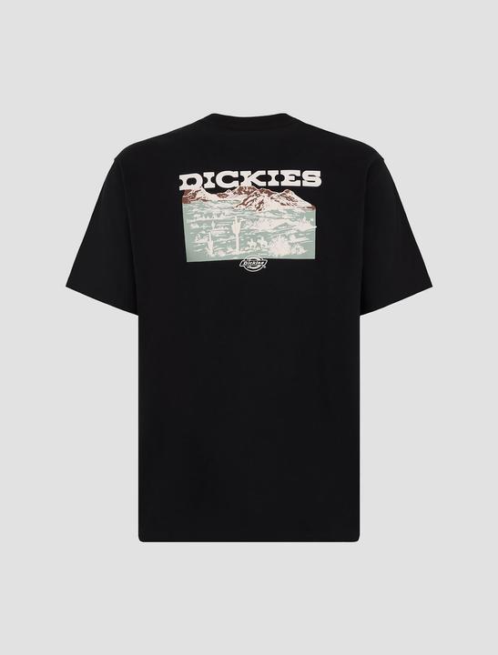 Immagine prodotto Dickies Landascape Ss Tee Black (L)