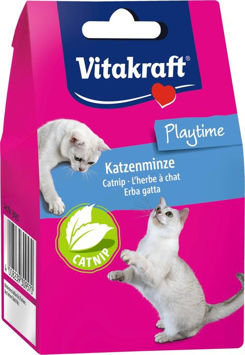 Actual product image Vitakraft Catnip loose for cats (30957)
