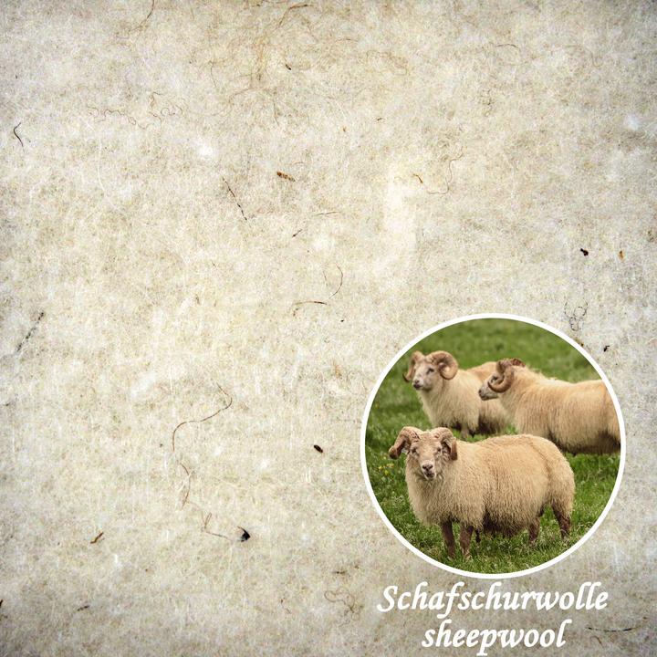 Actual product image Erwin Müller Organic virgin wool (80 x 80 cm)