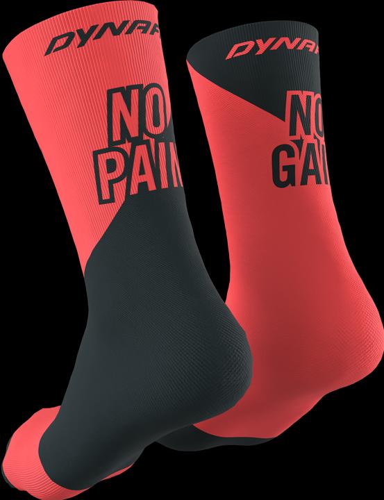 Actual product image Dynafit No Pain No Gain Socks (35 - 38)