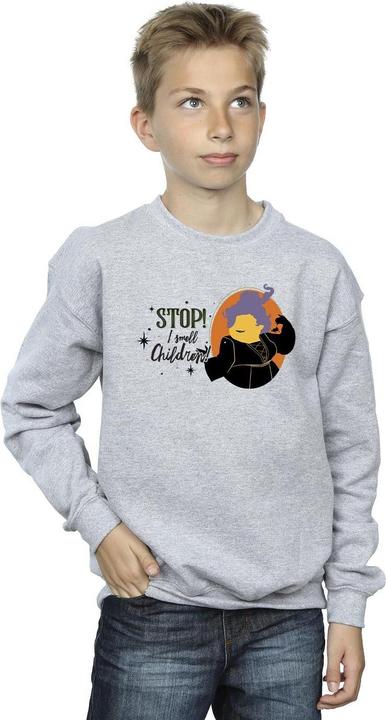 Actual product image Disney Boys Hocus Pocus Stop Mary Sweatshirt (140, 146)