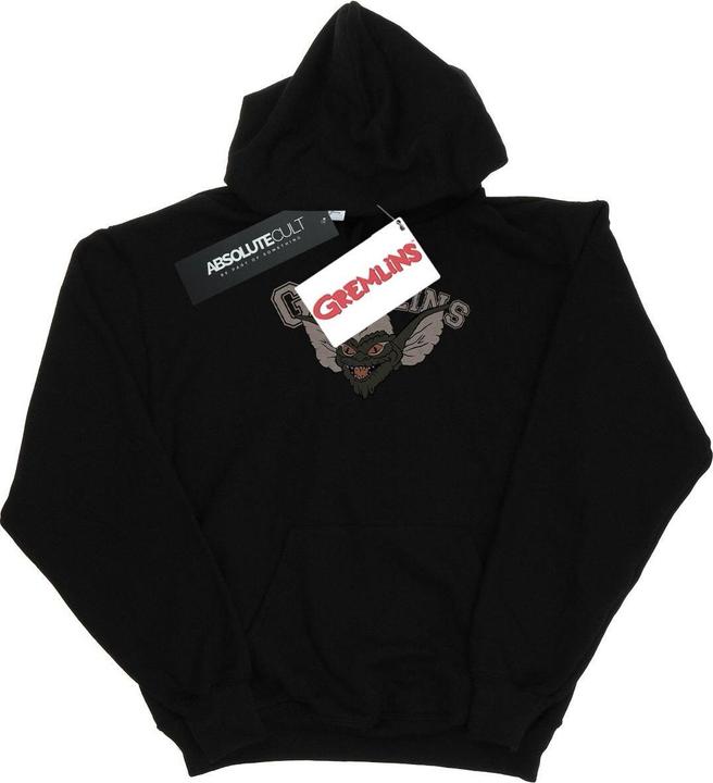 Image du produit Universal Textiles - Sweat à capuche KINGSTON FALLS SPORT - Homme (S)