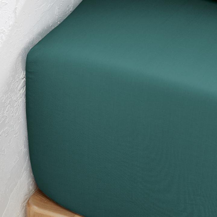 Actual product image La Redoute Interieurs Percale Bio (90 x 190 cm)
