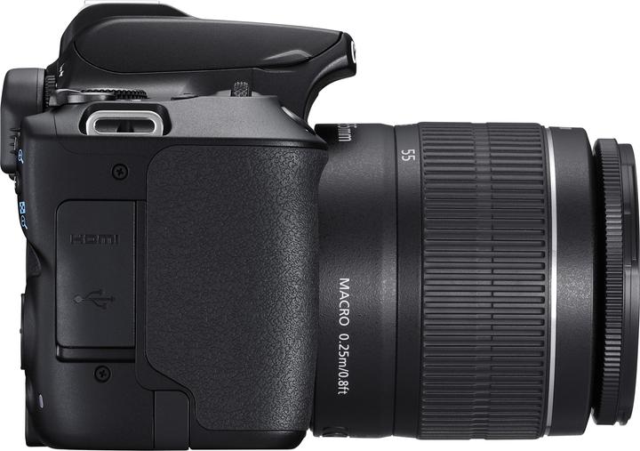 Actual product image Canon EOS 250D (18 - 55 mm, 24.10 Mpx, APS-C / DX)