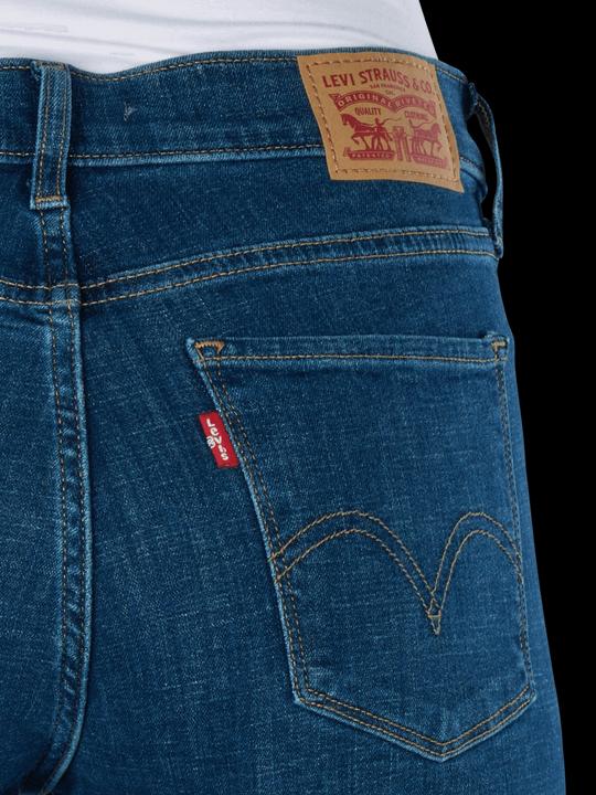 Actual product image Levis Classic Straight Jeans lapis dark horse (W30/L28)