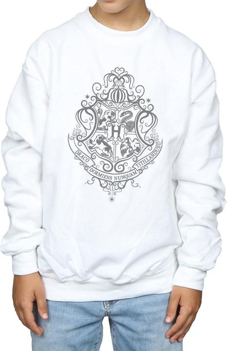Produktbild Hogwarts Draco Dormiens Crest Sweatshirt Jungen (140, 146)