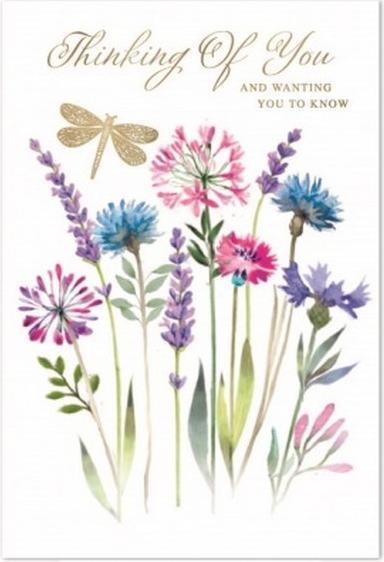 Actual product image Simon Elvin Thinking Of You Sympathy Greetings Card (Pack of 6) (6 pcs.)