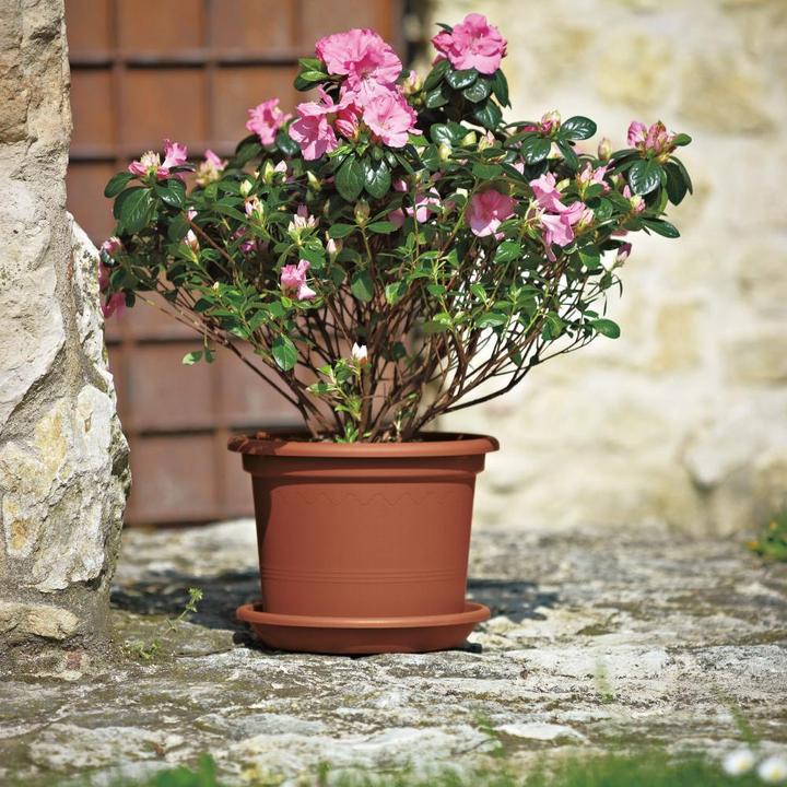 Actual product image Euro3plast Planter (35 cm)