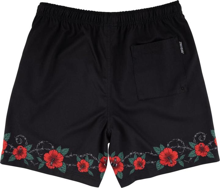 Image du produit Santa Cruz M41819 (40)