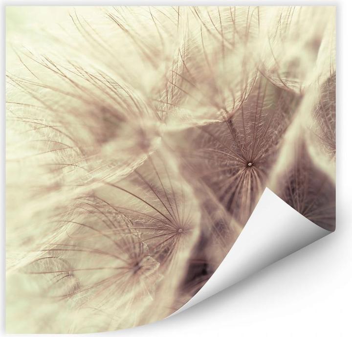 Image du produit Trenddeko Pissenlit Close Up (30 x 30 cm)