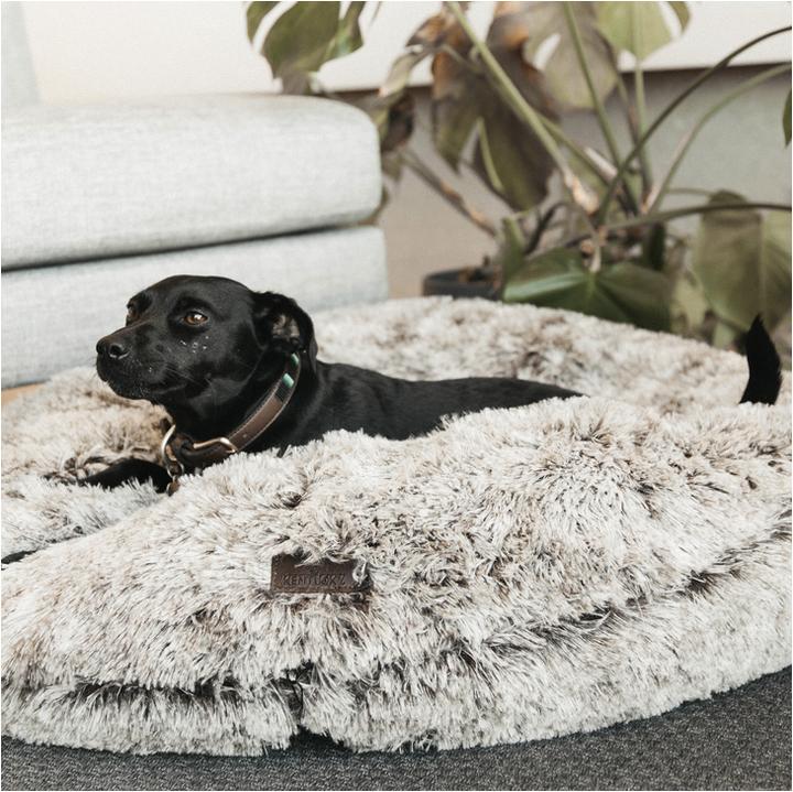 Produktbild Kentucky Dogwear Hundebett Comfort Donut (Hund)