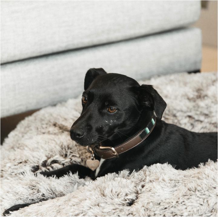 Produktbild Kentucky Dogwear Hundebett Comfort Donut (Hund)