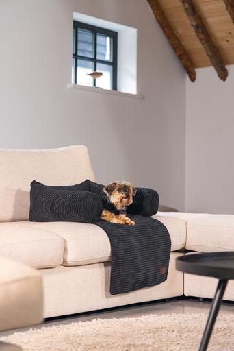 Produktbild Designed by Lotte Ribbed (Hund)