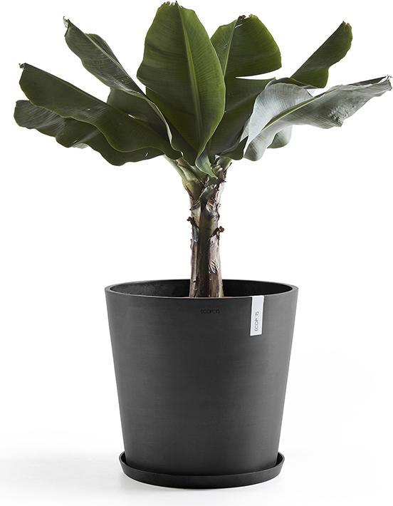 Produktbild Ecopots Saucer Round