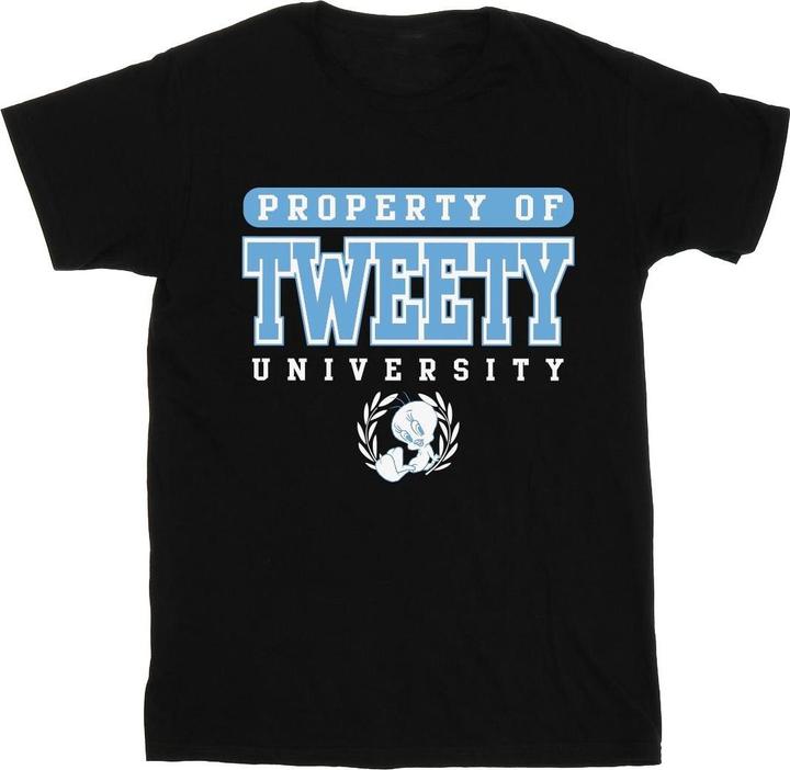 Image du produit Looney Tunes - T-shirt TWEETY PROPERTY OF UNIVERSITY - Homme (5XL)