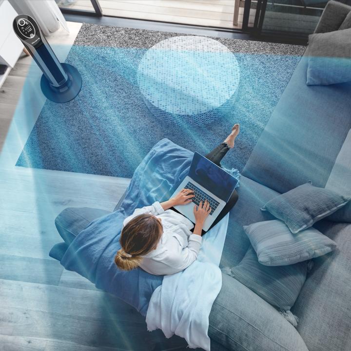 Actual product image Rowenta Eole Infinite (57 dB)