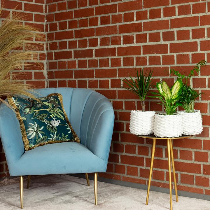 Produktbild Flowerbox 3er-Set Zimmerpflanzen Chamaedorea, Dieffenbachie, Dracaena (30 cm)