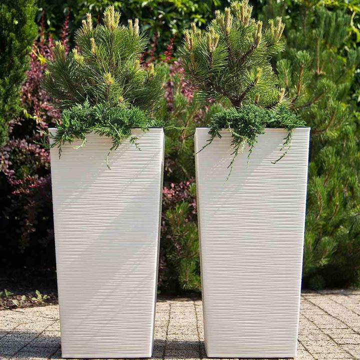 Immagine prodotto Siena Garden Modern (25 cm)