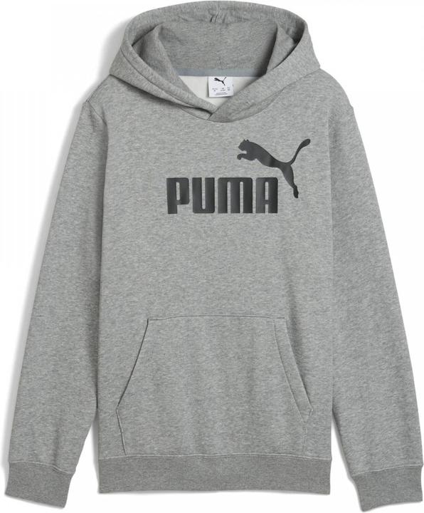 Actual product image Puma ESS No. 1 Logo Hoodie FL B (140)