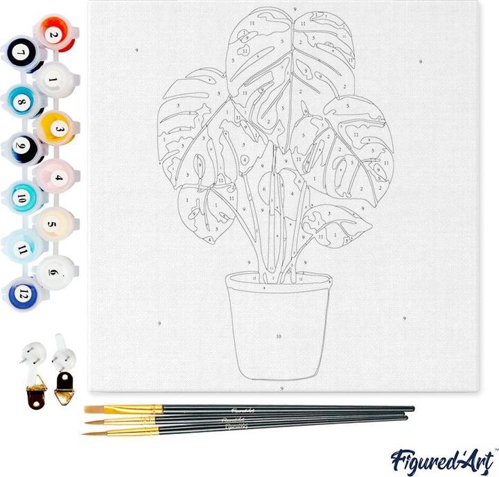 Immagine prodotto Figured'Art Mini Kit da Dipingere con i Numeri con Cornice - Monstera in vaso
