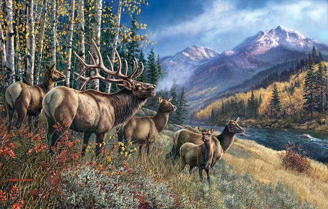 Image du produit Sunsout Puzzle 1000 pièces James Meger - Elk Anthem (1000 pièces)