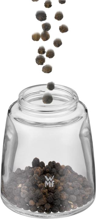 Actual product image WMF Trend (Pepper, Salt, Chili, Nutmeg)