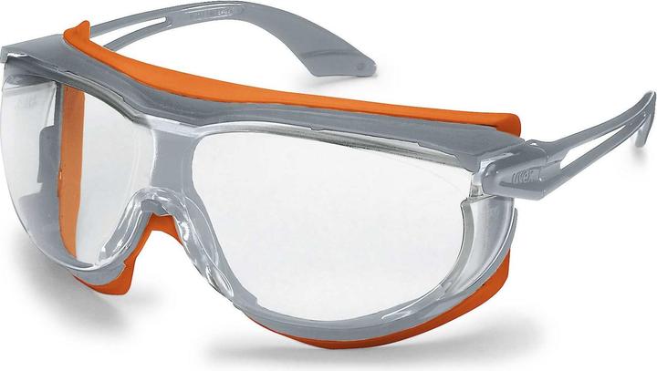 Uvex Safety Safety goggles
