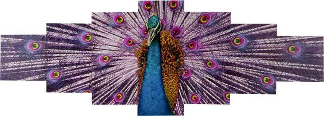 Immagine prodotto Swisshandel24 Quadro su tela, stampa murale su telaio, 7 pezzi 140x50 cm - Pavone (140 x 50 cm)