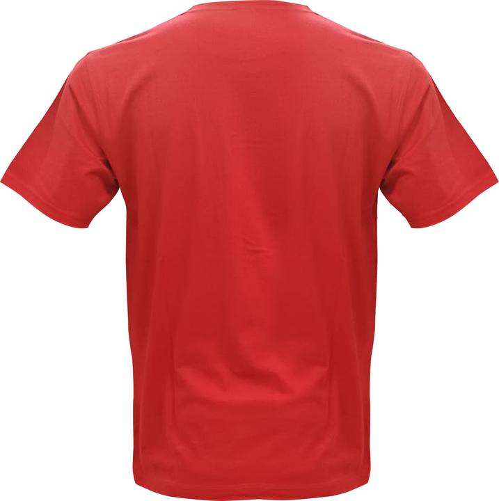 Produktbild TopSpirit 1291 SWISS T-Shirt (XXL)