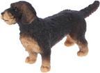 Image du produit Schleich Teckel à poil dur