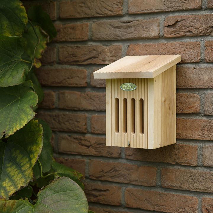 Immagine prodotto Esschert Design Casetta per farfalle pensile (Farfalle)