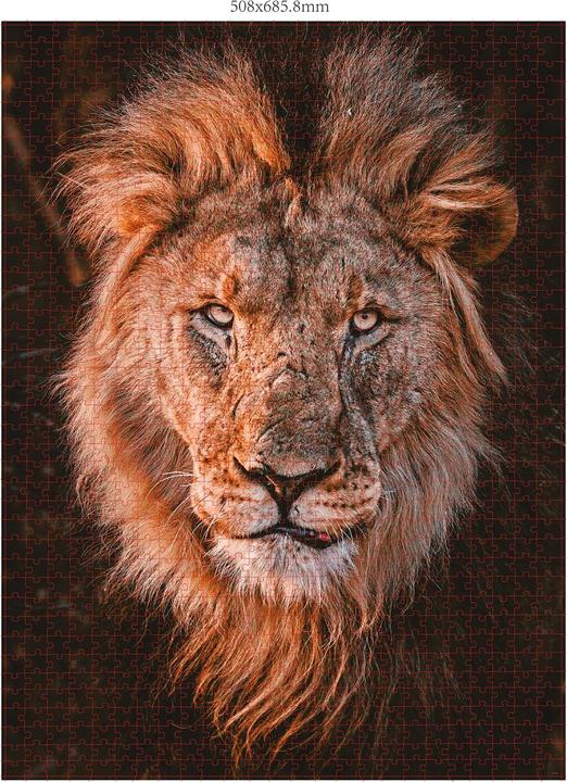 Produktbild Merchant Ambassador Wildtiere Afrika Donal Boyd (1000 Teile)