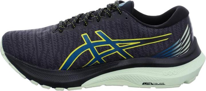 Produktbild ASICS Performance GT-2000 11 GTX (44.5)