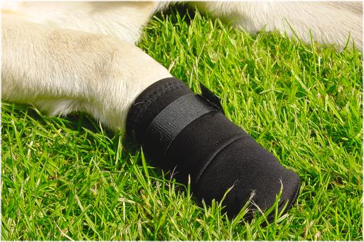 Immagine prodotto Beeztees Bz Protezione Zampe Nero Confezione Da 2 (Cane)