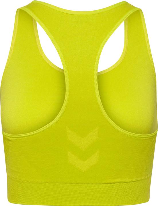 Image du produit hummel Hmltif Seamless Sports Top (M)