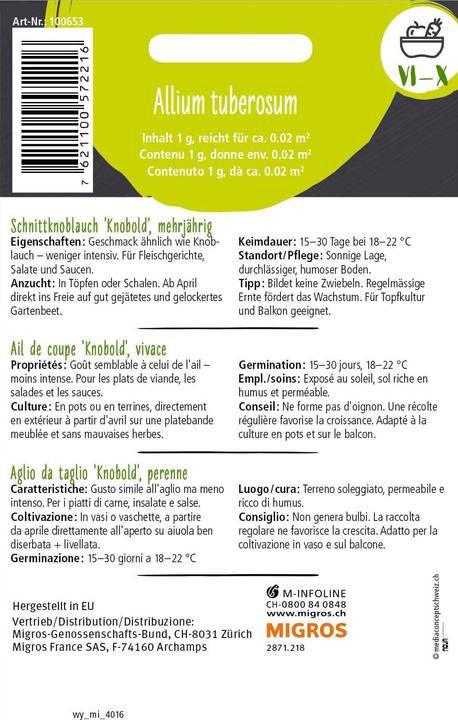 Image du produit Do it + Garden Ail de coupe 'Knobold', vivace 1g (Graines d'herbes aromatiques)